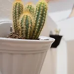 Casa Cactus Σπίτι διακοπών
